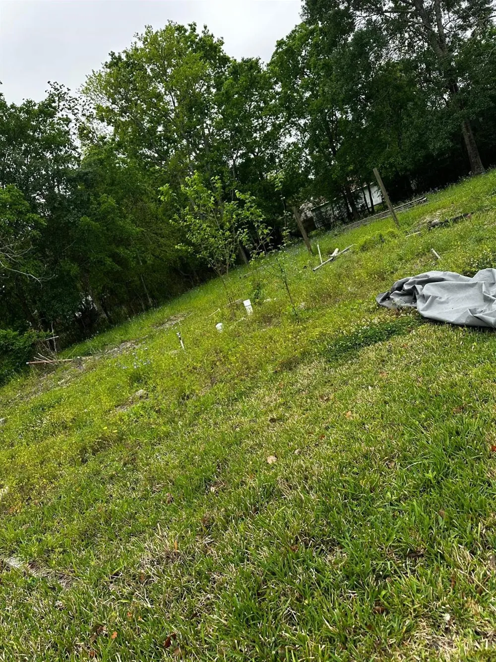 2435 6th Avenue Port Arthur, TX 77642