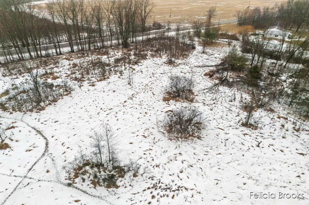 17580 Pine Lake Avenue NE Sand Lake, MI 49343