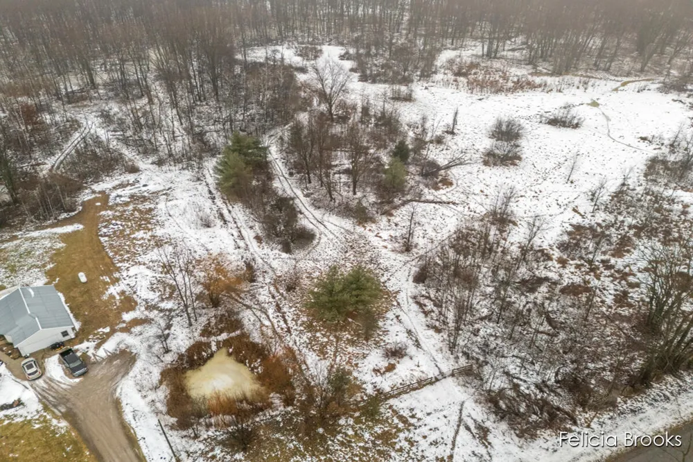 17590 Pine Lake Avenue NE Sand Lake, MI 49343