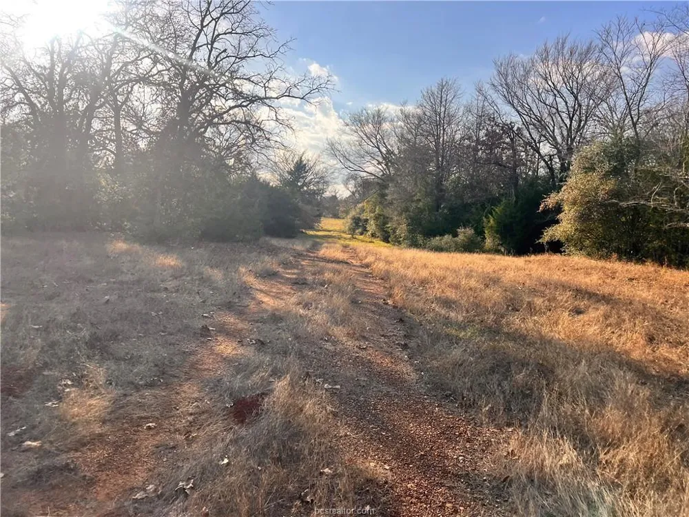 308 Fm-1469 Marquez, TX 77865