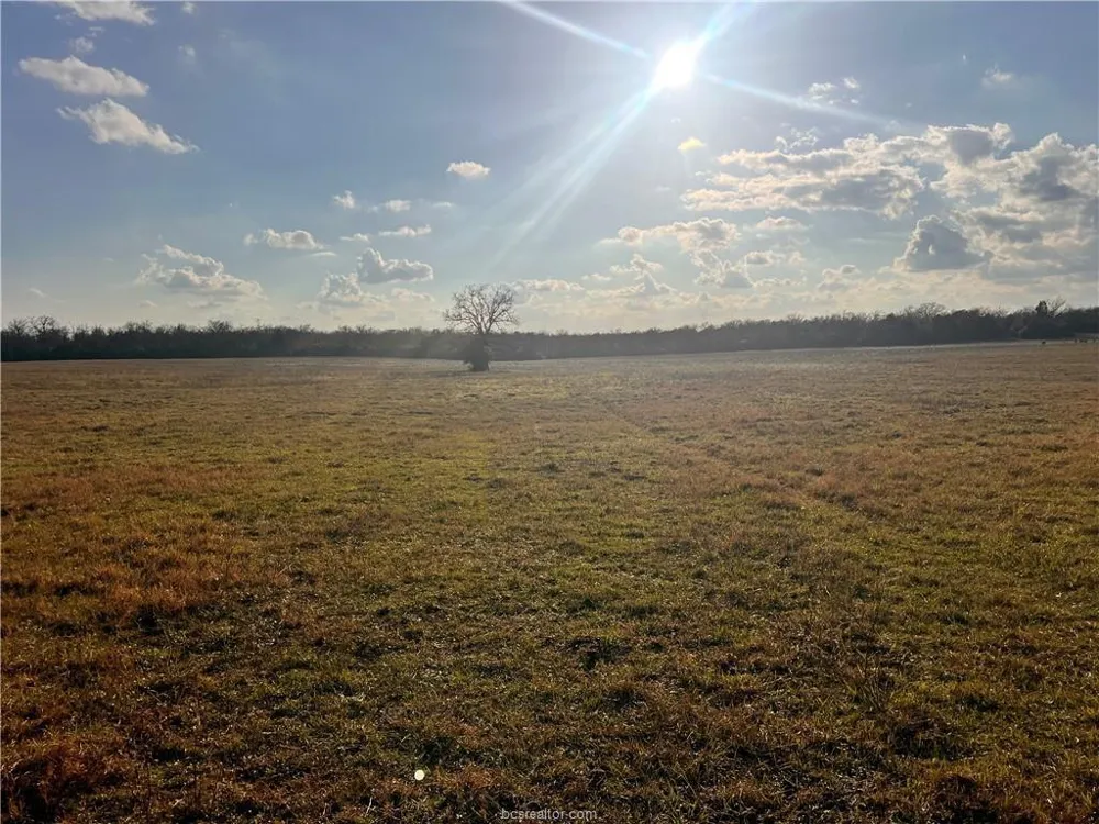 308 Fm-1469 Marquez, TX 77865