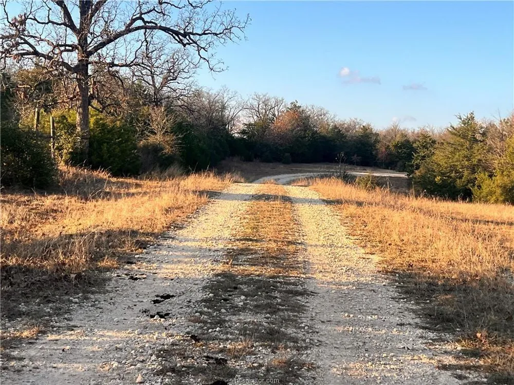 308 Fm-1469 Marquez, TX 77865