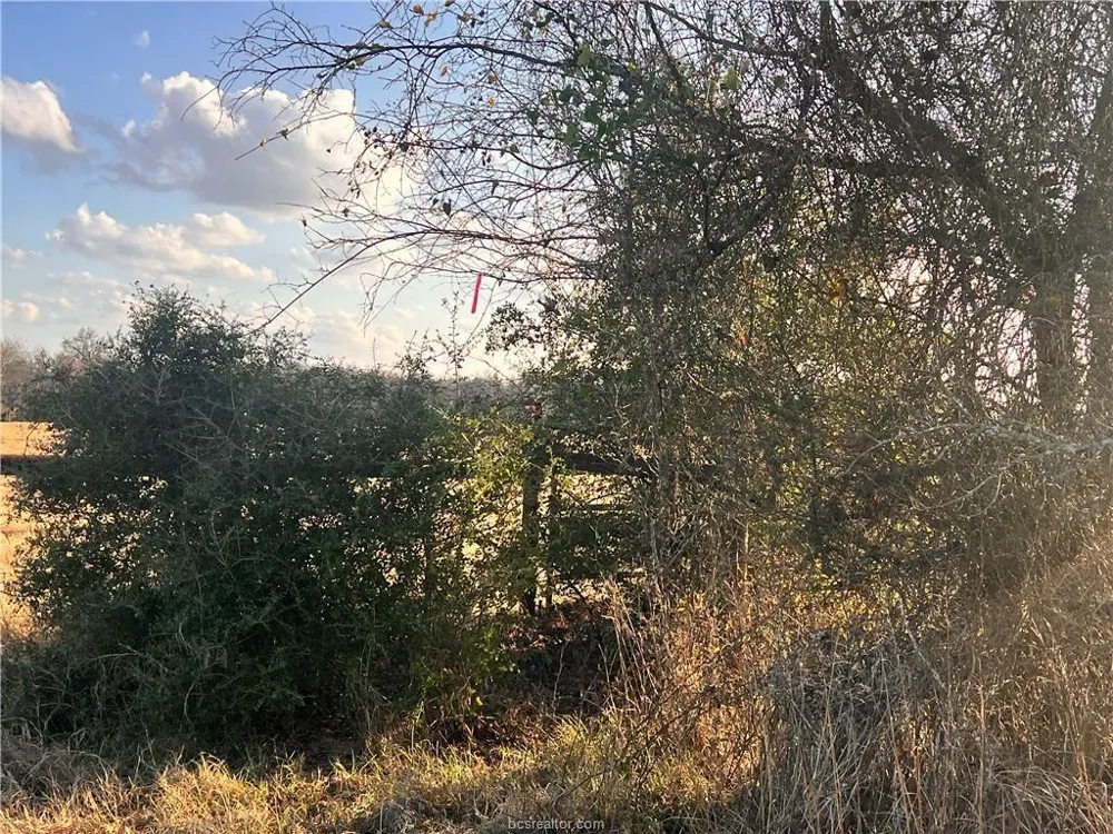 308 Fm-1469 Marquez, TX 77865