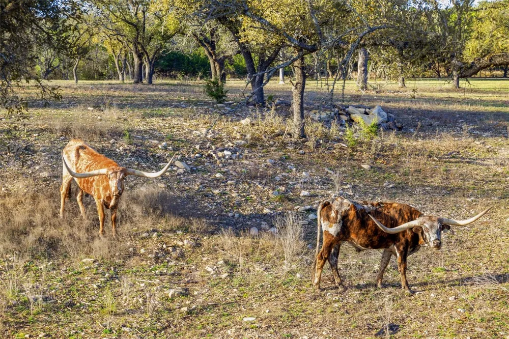 3516 Mount Sharp Road #24B Wimberley, TX 78676