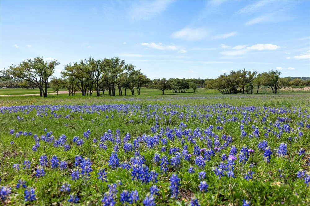 3516 Mount Sharp Road #24B Wimberley, TX 78676