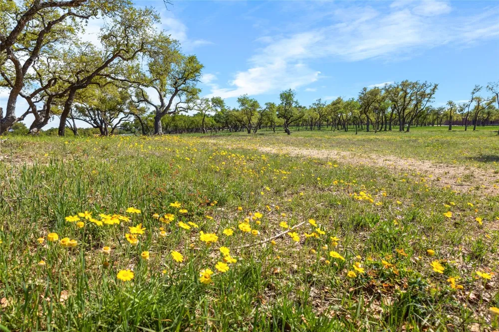3516 Mount Sharp Road #24B Wimberley, TX 78676