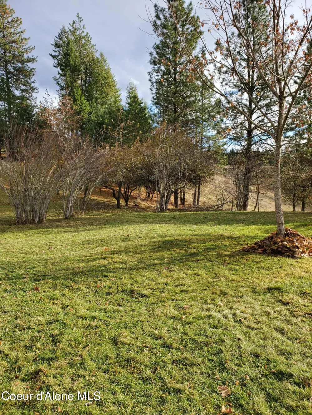 386 Big Cedar Rd. Kooskia, ID 83539