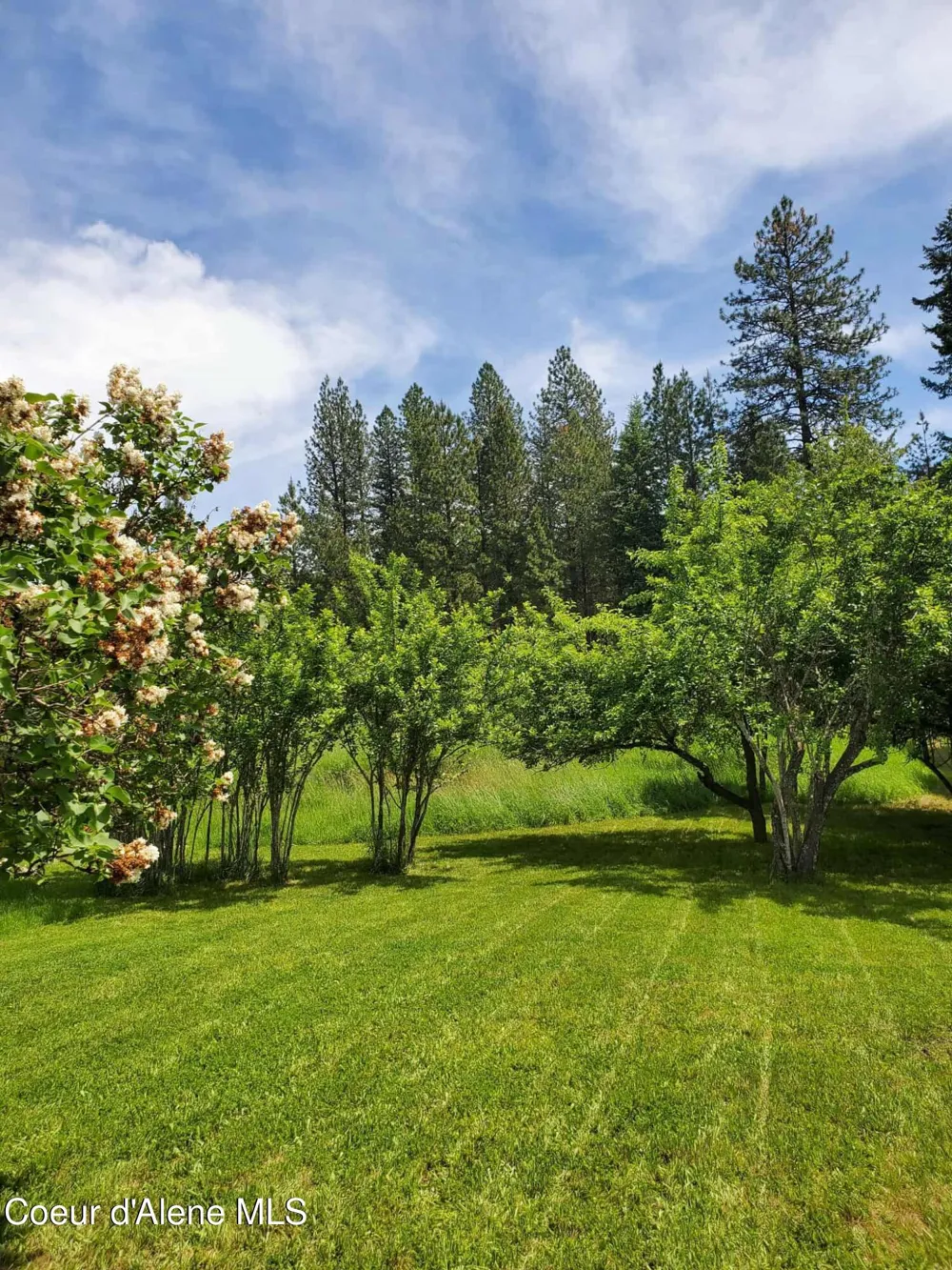 386 Big Cedar Rd. Kooskia, ID 83539