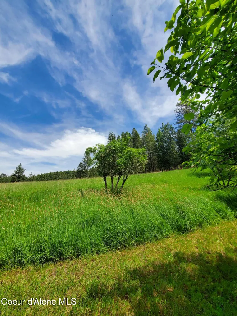 386 Big Cedar Rd. Kooskia, ID 83539