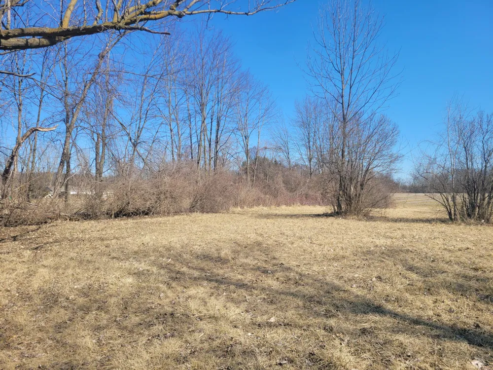 15715 Merriman Road Romulus, MI 48174