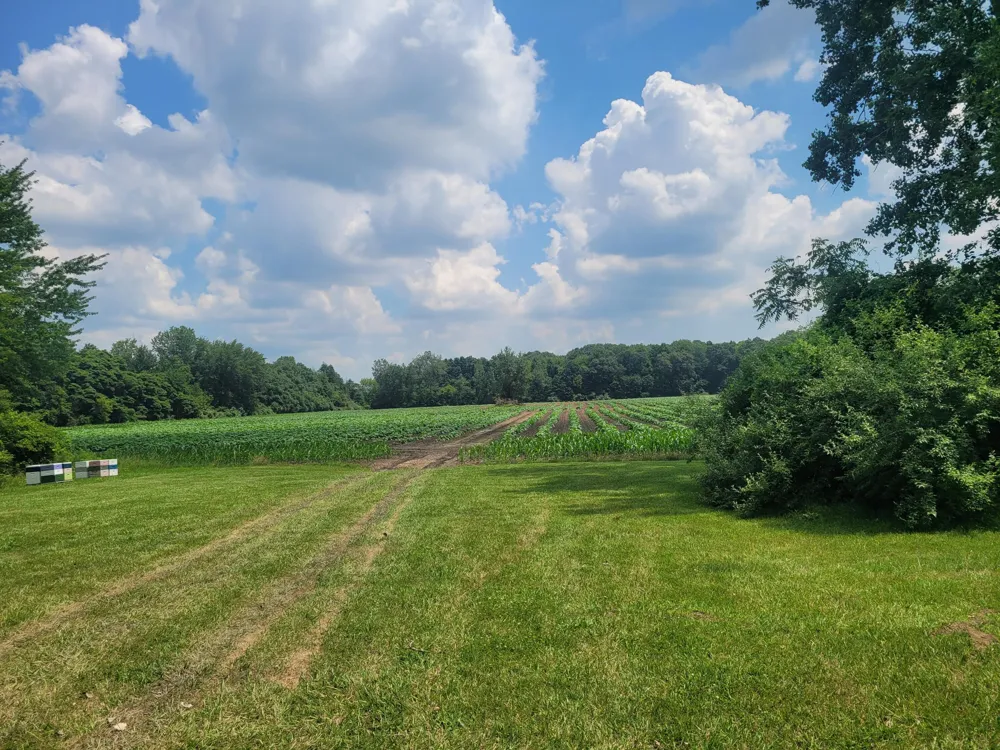 15715 Merriman Road Romulus, MI 48174
