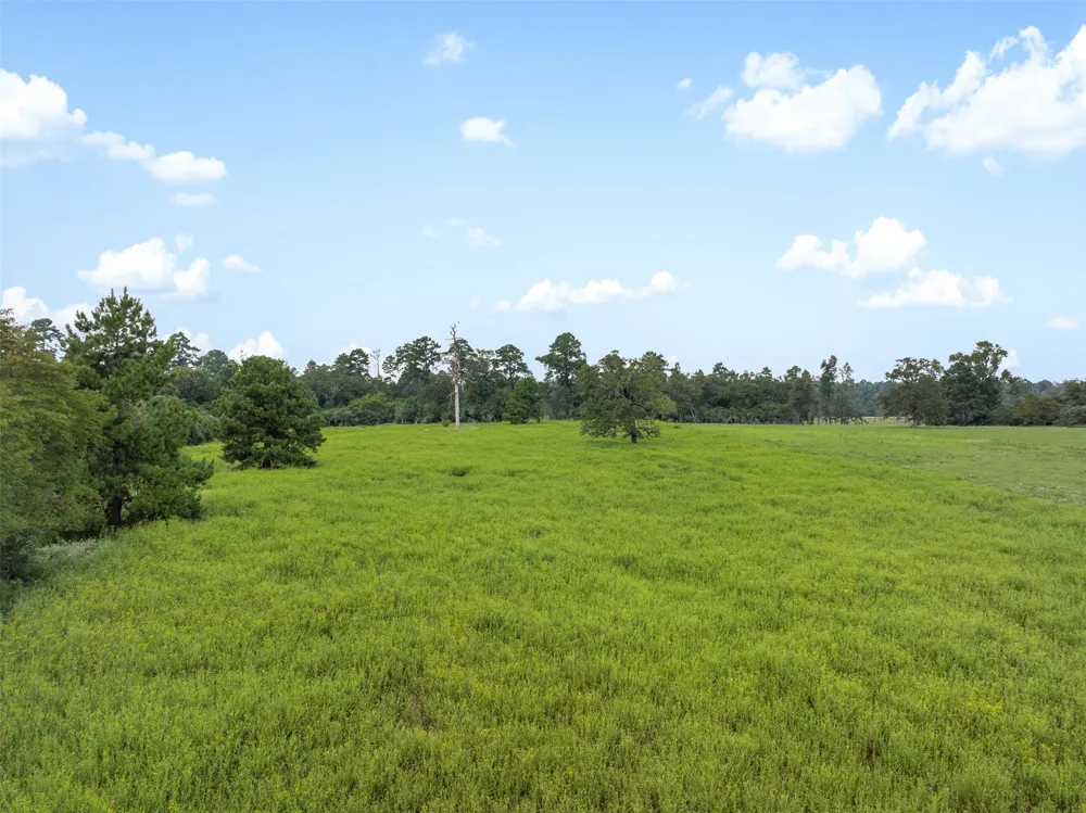 Pr 1315 Centerville, TX 75833
