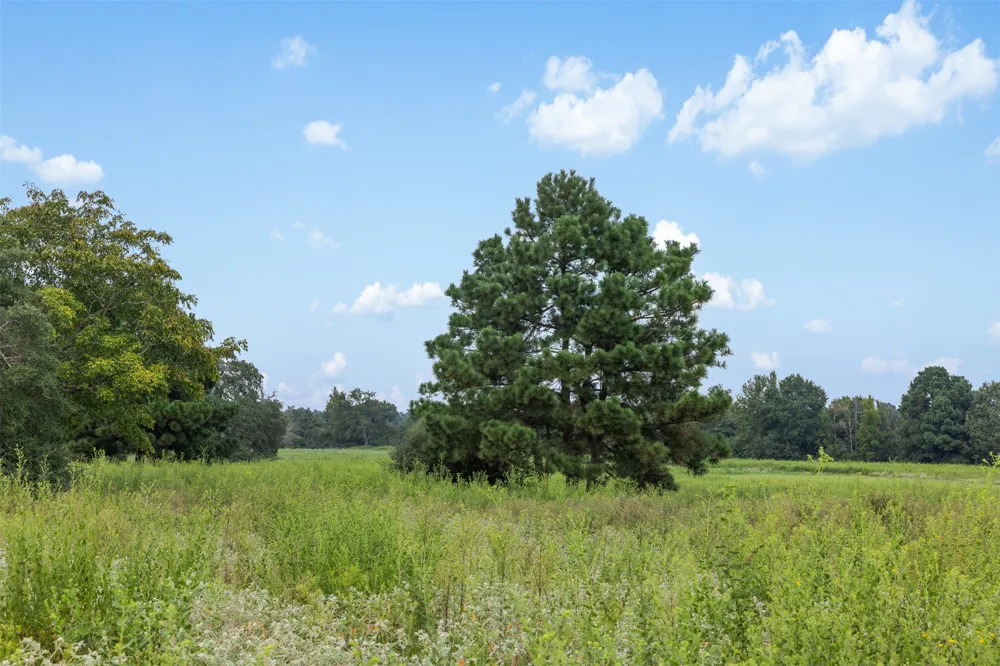 Pr 1315 Centerville, TX 75833