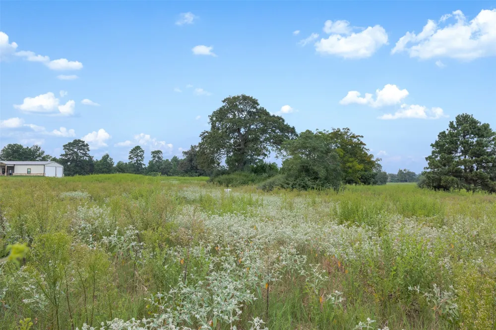 Pr 1315 Centerville, TX 75833