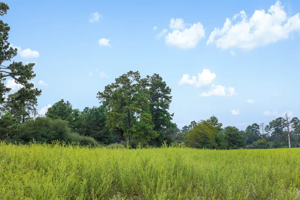 Pr 1315 Centerville, TX 75833