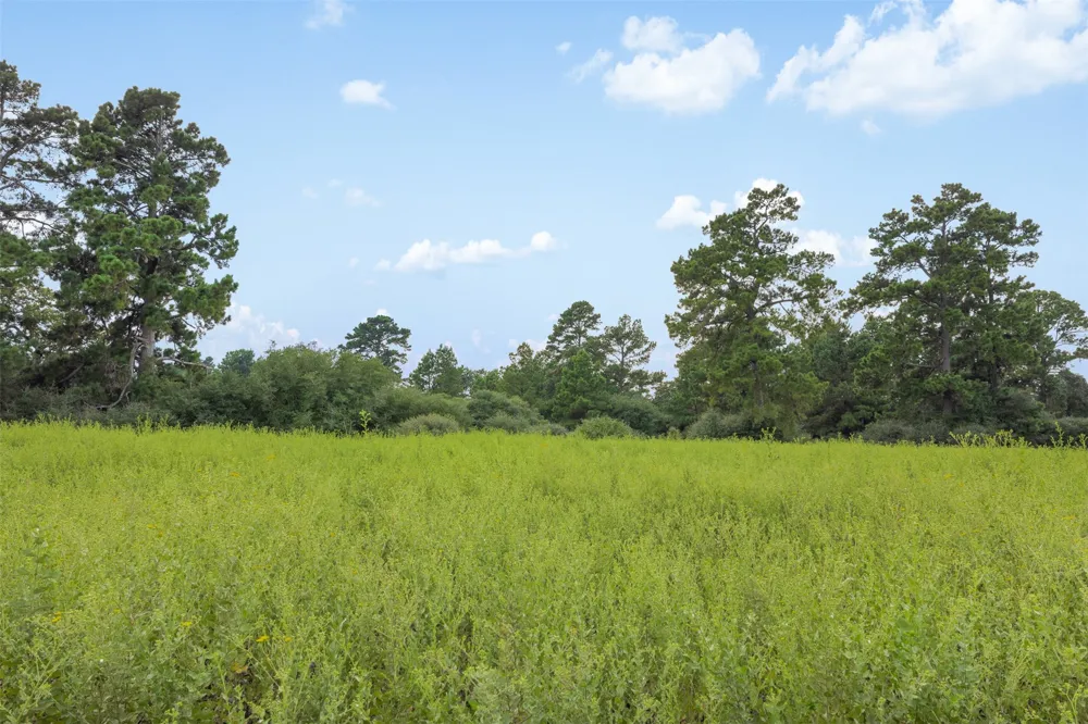 Pr 1315 Centerville, TX 75833