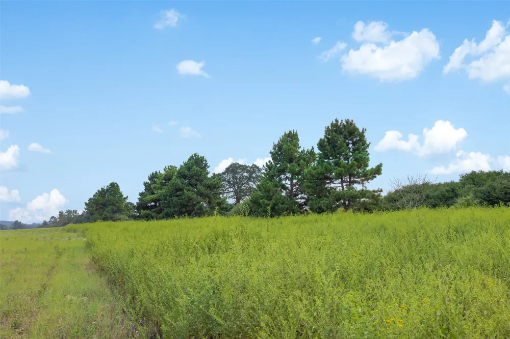 Pr 1315 Centerville, TX 75833