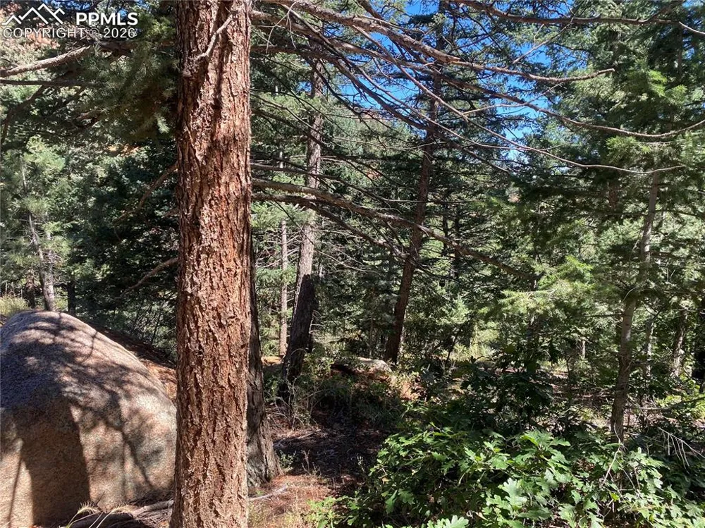 231 Upper Sun Valley Road Manitou Springs, CO 80829