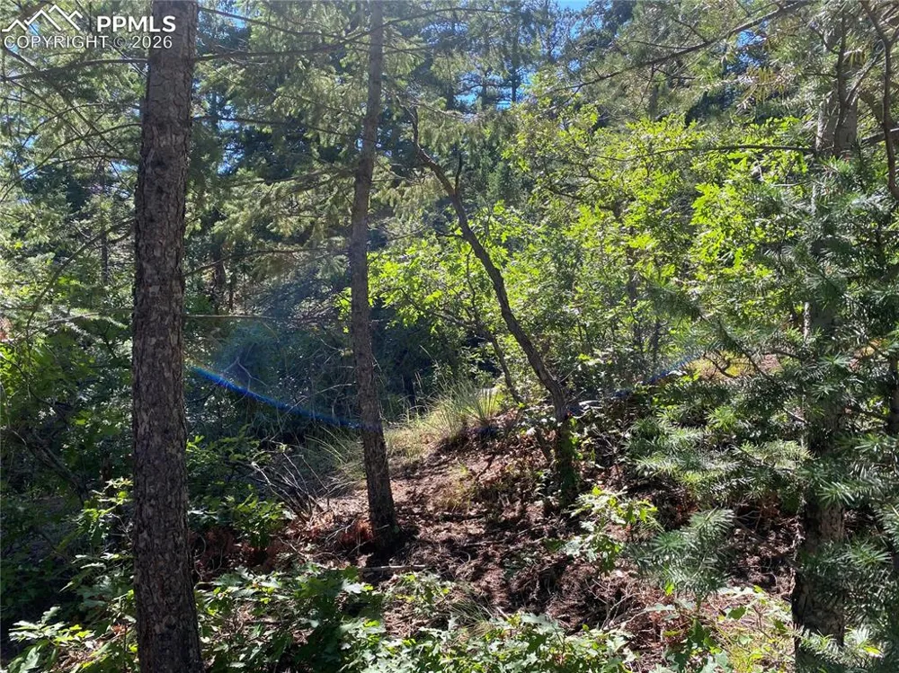231 Upper Sun Valley Road Manitou Springs, CO 80829