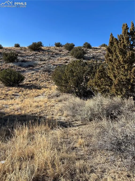 400 Autumn Court Canon City, CO 81212