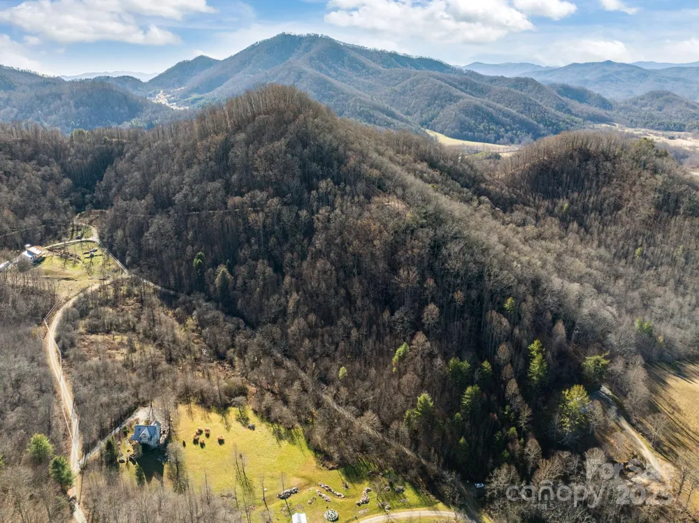000 Wayward Cove Clyde, NC 28721