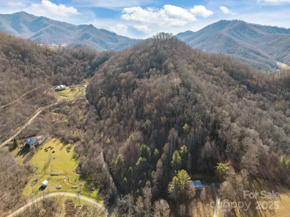 000 Wayward Cove Clyde, NC 28721