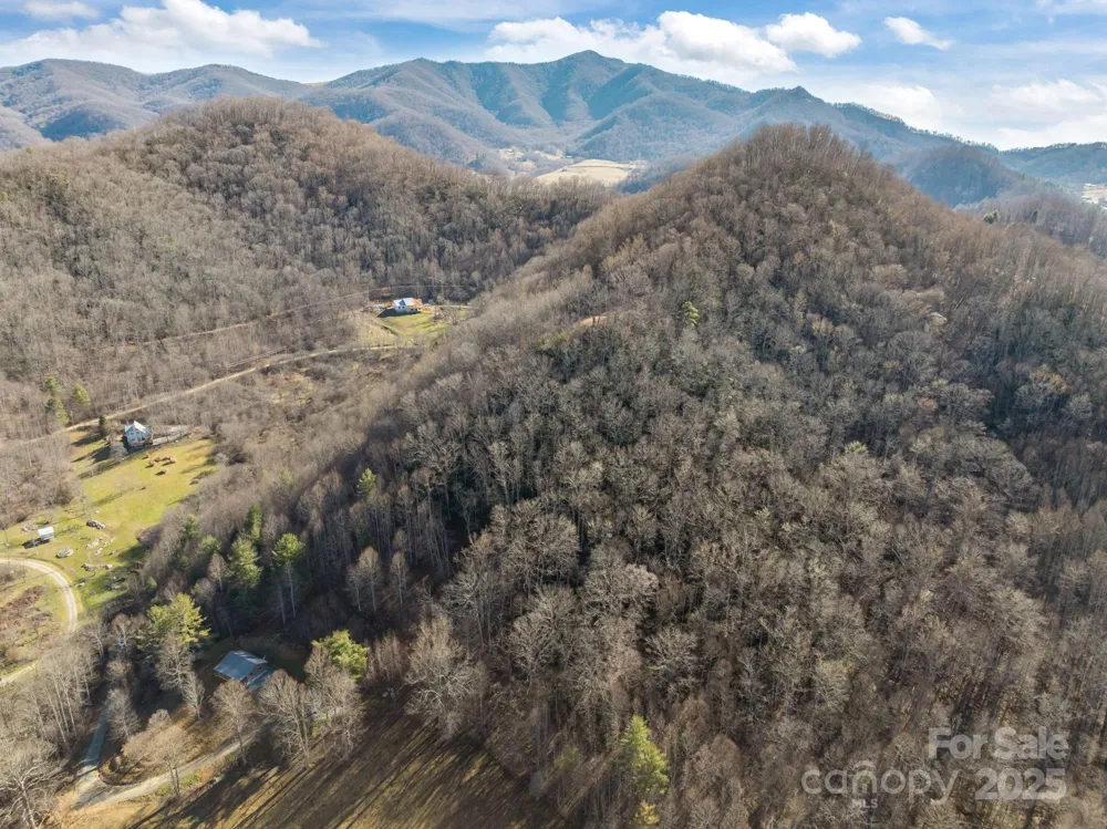 000 Wayward Cove Clyde, NC 28721