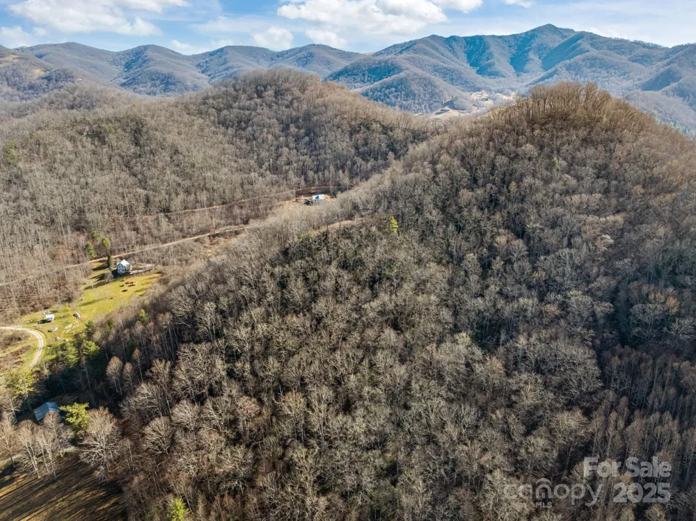 000 Wayward Cove Clyde, NC 28721