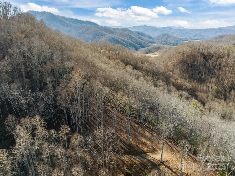 000 Wayward Cove Clyde, NC 28721
