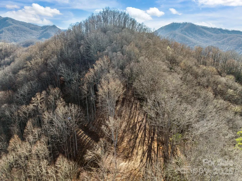 000 Wayward Cove Clyde, NC 28721