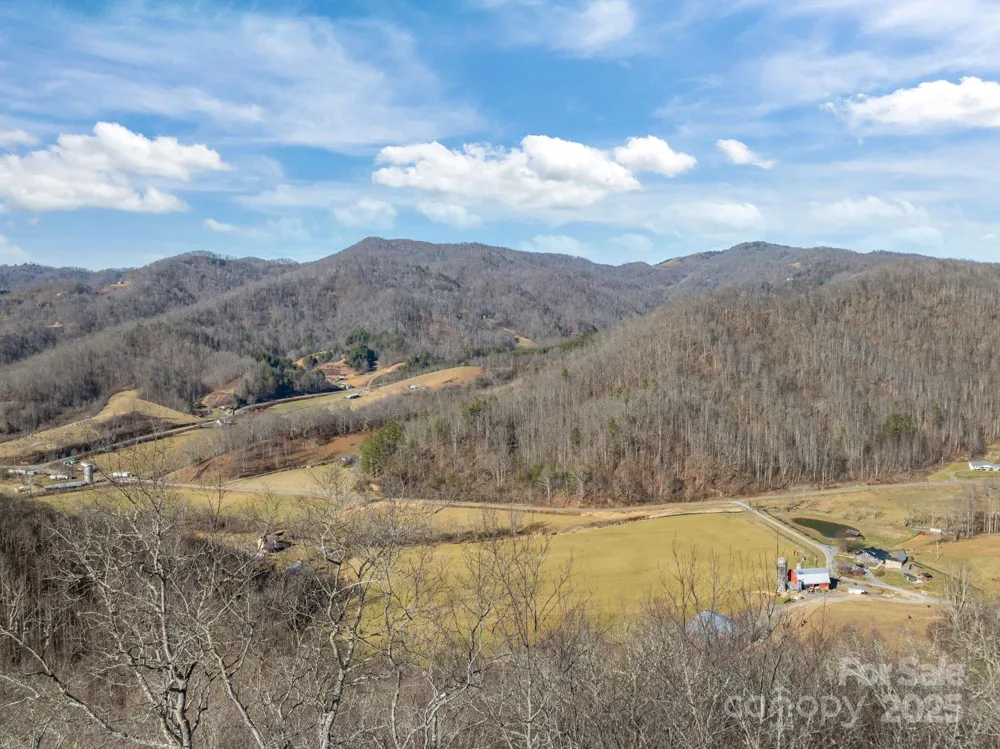 000 Wayward Cove Clyde, NC 28721