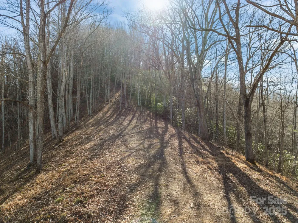 000 Wayward Cove Clyde, NC 28721