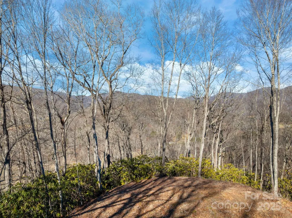000 Wayward Cove Clyde, NC 28721