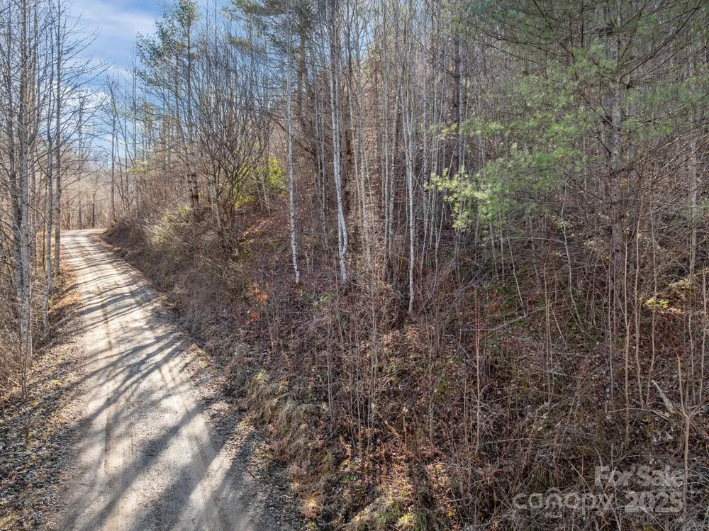 000 Wayward Cove Clyde, NC 28721