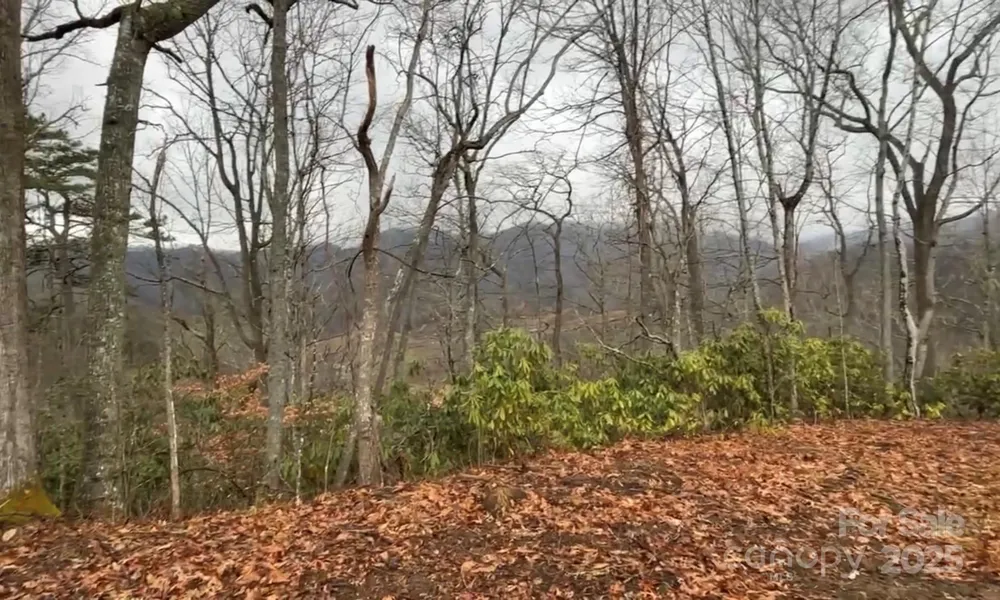 000 Wayward Cove Clyde, NC 28721