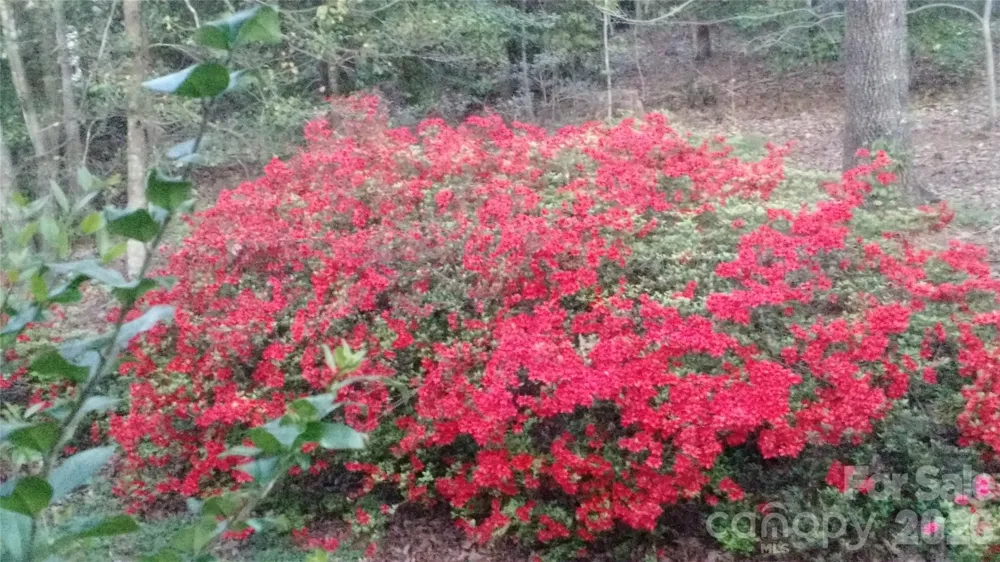 3065 Woodstream Drive Valdese, NC 28690