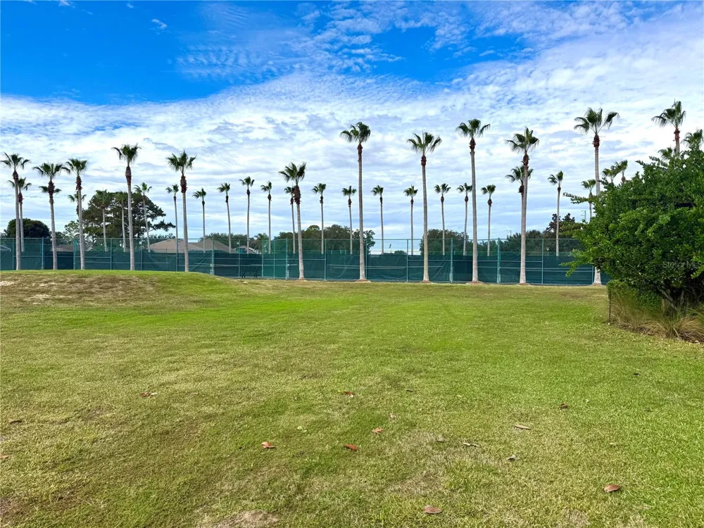 1241 YELLOW FINCH DRIVE Davenport, FL 33837