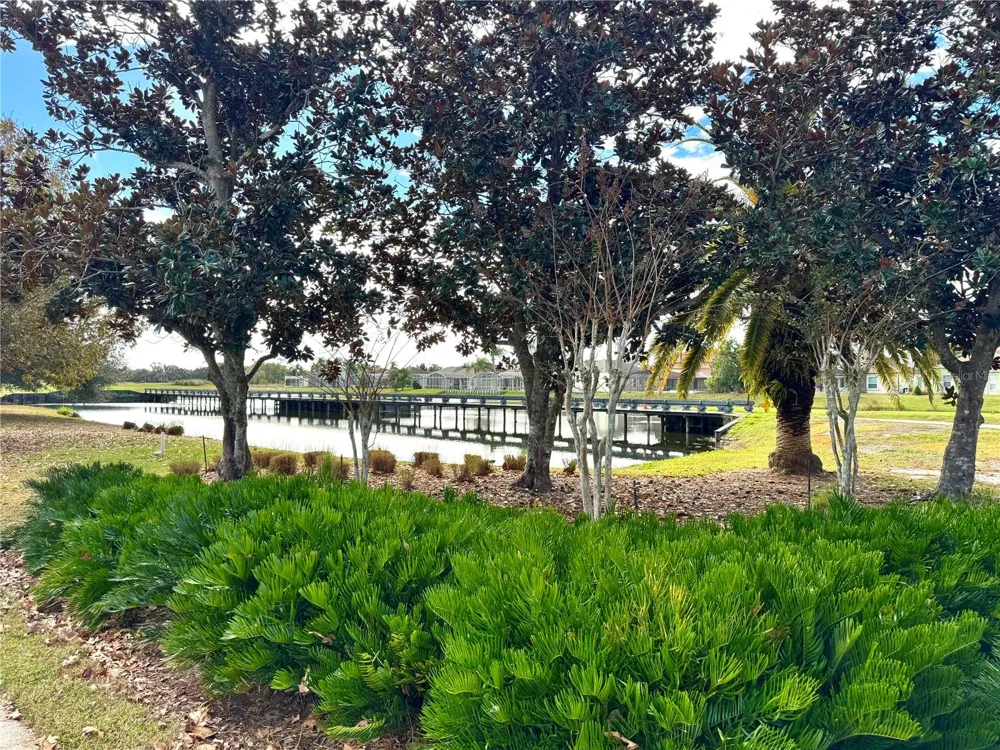 1241 YELLOW FINCH DRIVE Davenport, FL 33837