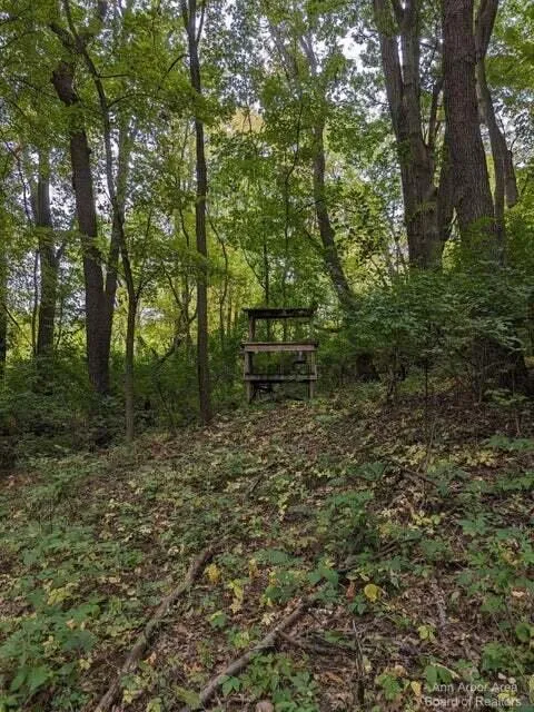 7870 Sears Road Spring Arbor Township, MI 49246