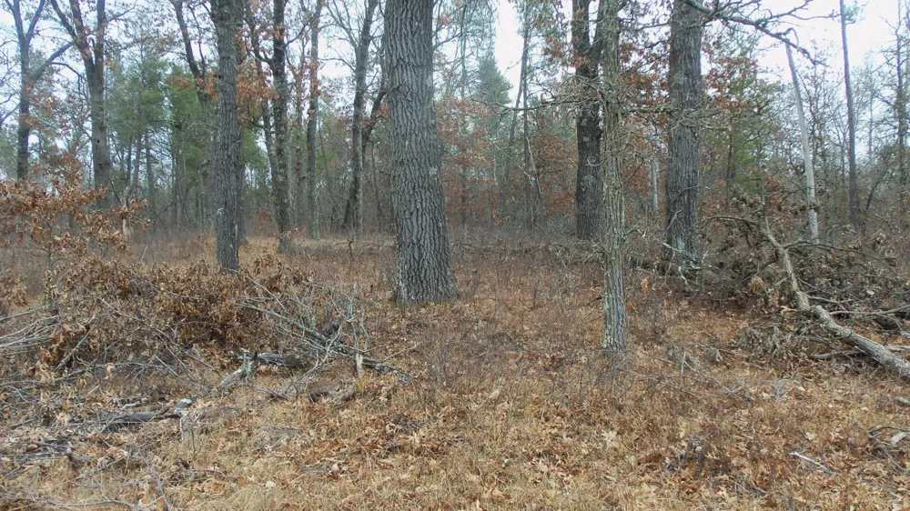 Lot 8 Canute Creek Trl Grantsburg, WI 54840