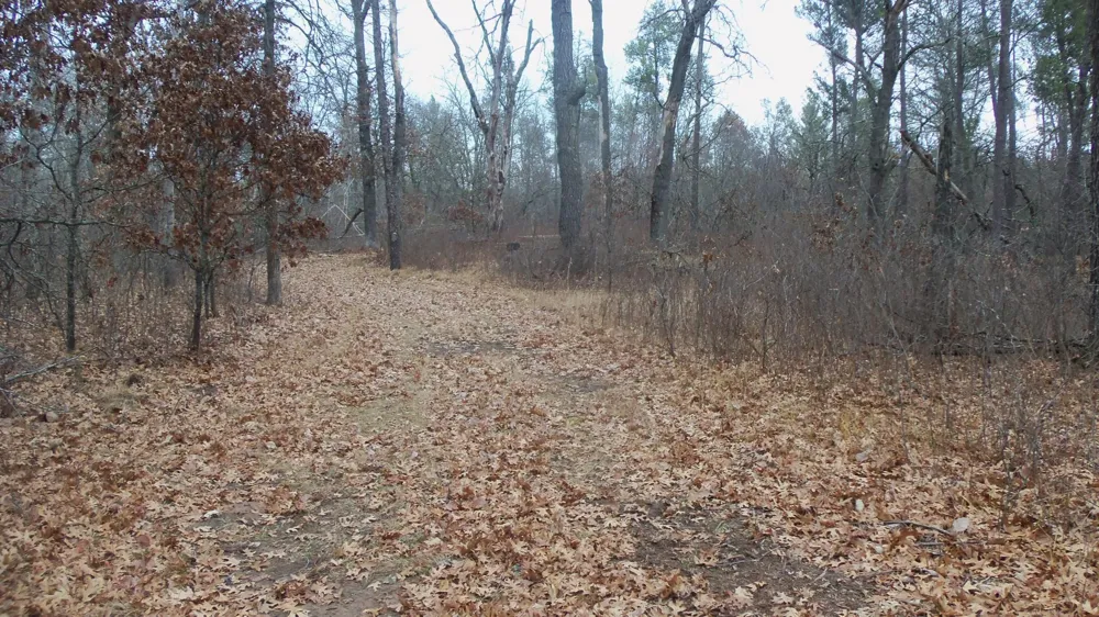 Lot 8 Canute Creek Trl Grantsburg, WI 54840