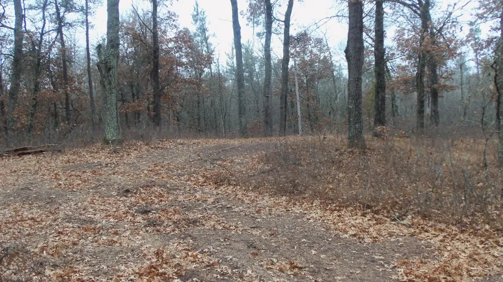 Lot 8 Canute Creek Trl Grantsburg, WI 54840