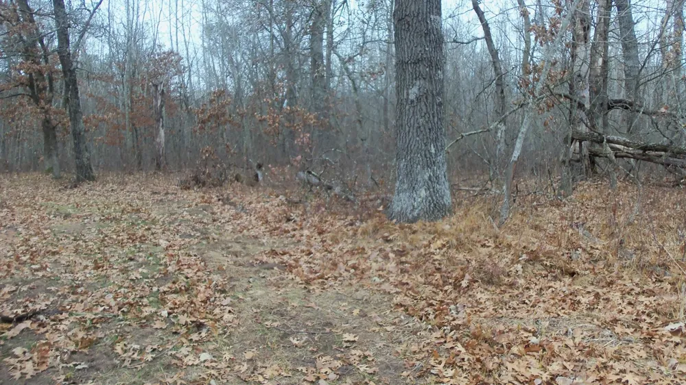 Lot 8 Canute Creek Trl Grantsburg, WI 54840