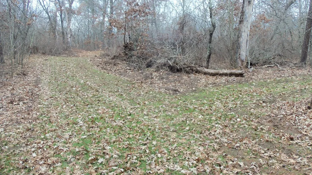 Lot 8 Canute Creek Trl Grantsburg, WI 54840