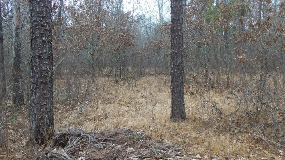 Lot 8 Canute Creek Trl Grantsburg, WI 54840