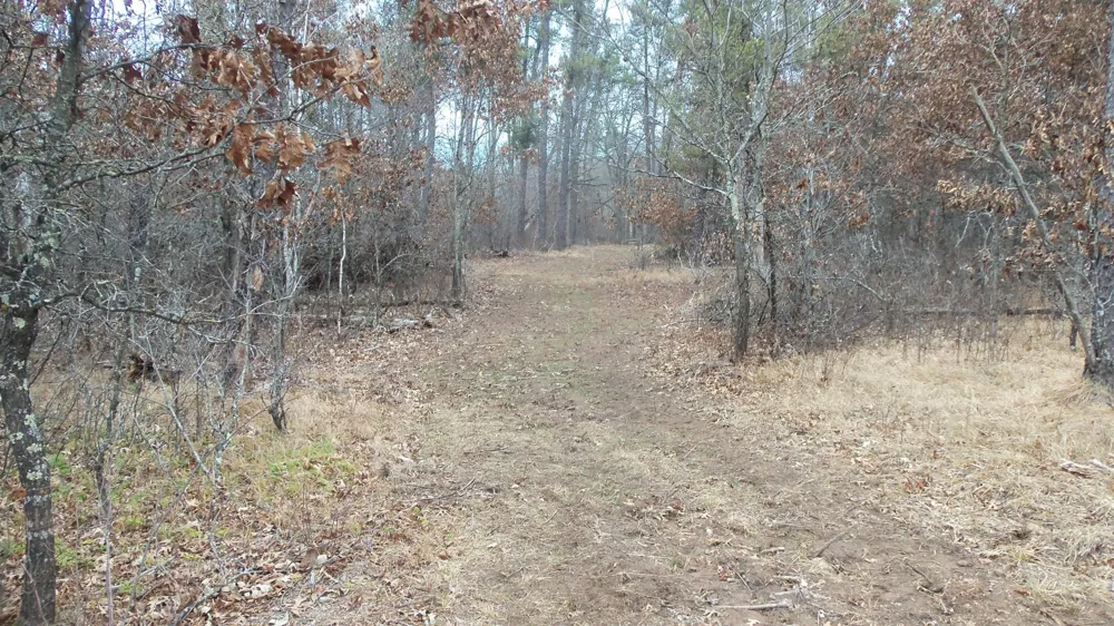 Lot 8 Canute Creek Trl Grantsburg, WI 54840