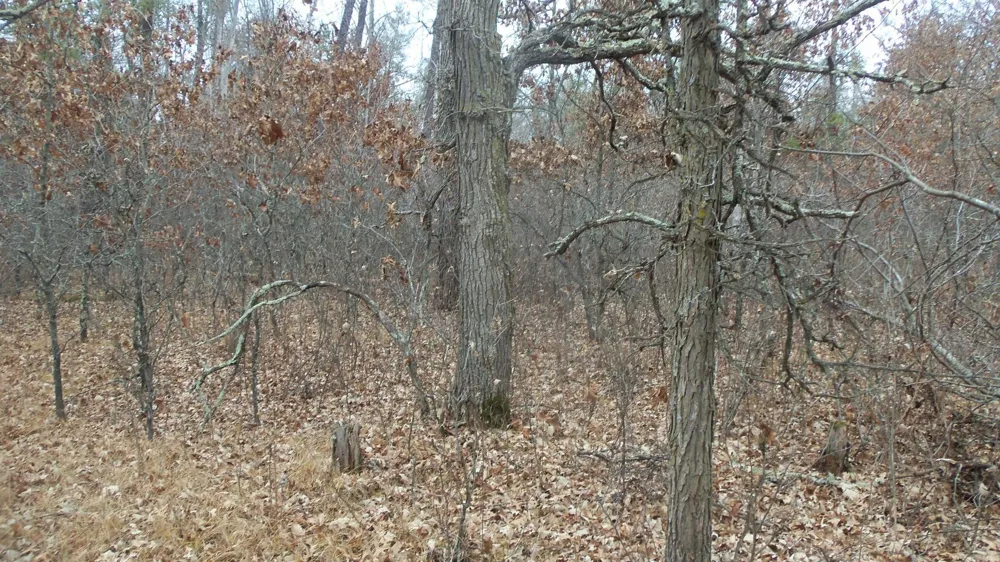 Lot 8 Canute Creek Trl Grantsburg, WI 54840