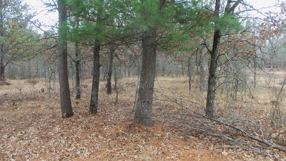 Lot 8 Canute Creek Trl Grantsburg, WI 54840