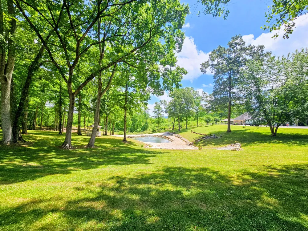 202 55th Avenue Gruetli Laager, TN 37339