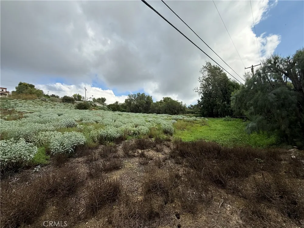 707 Dorothea La Habra Heights, CA 90631